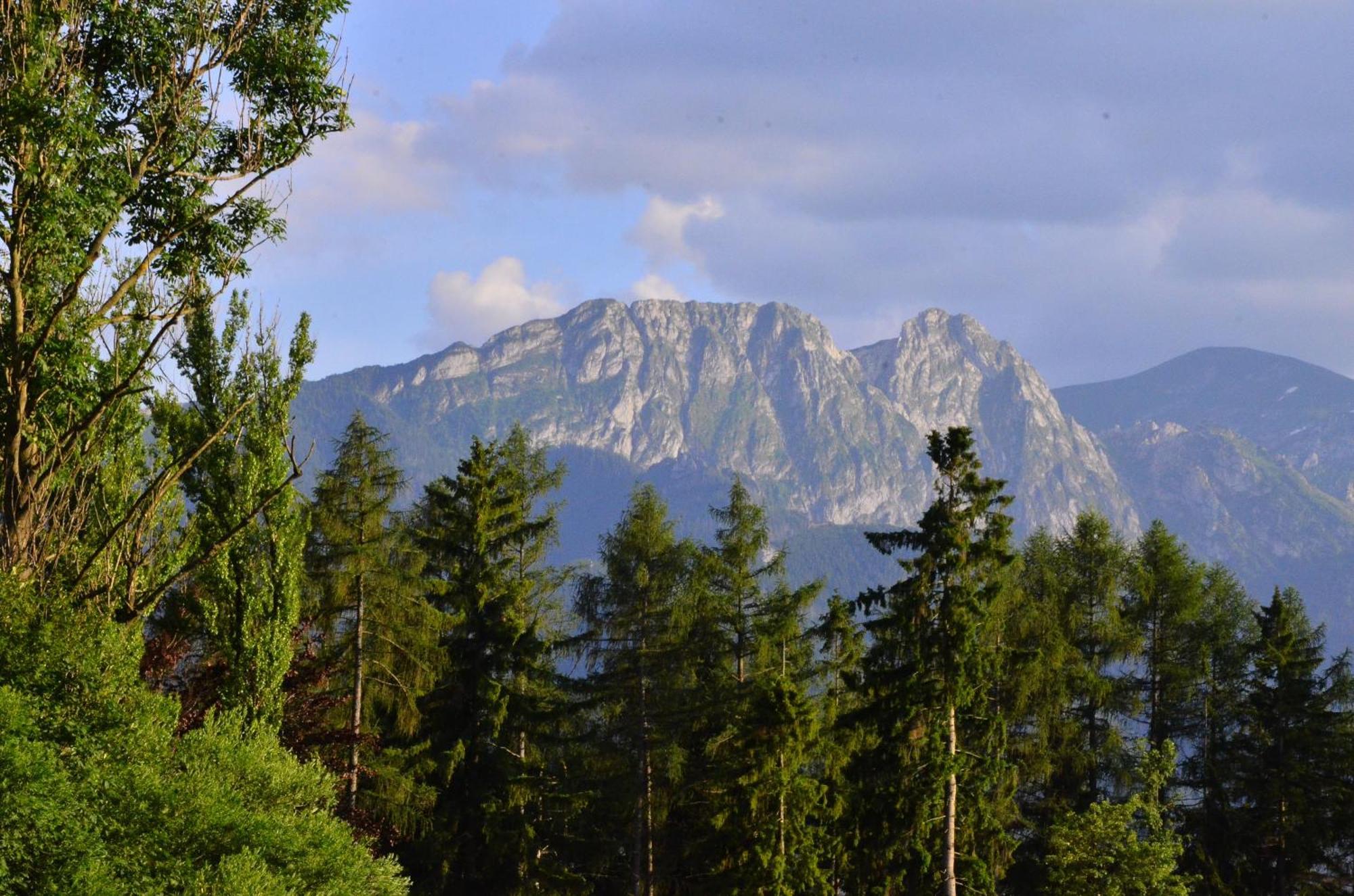 Chata Walczakow -Blue Cave Cottage Zakopane Exterior foto