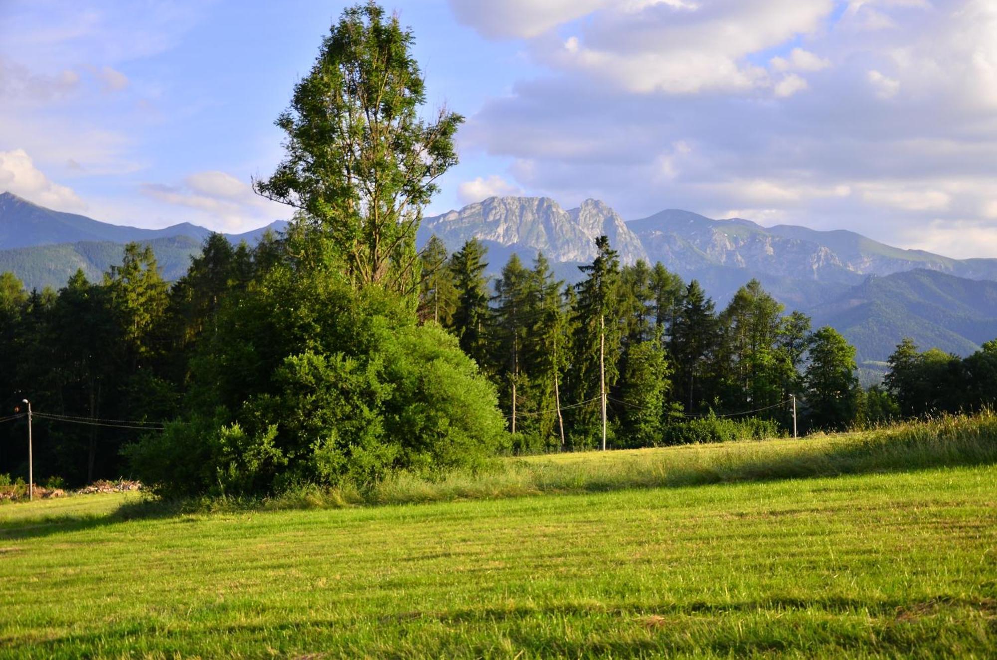 Chata Walczakow -Blue Cave Cottage Zakopane Exterior foto